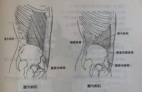 微信图片_20220313100031.jpg