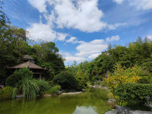 炮台湾湿地公园的矿坑花园